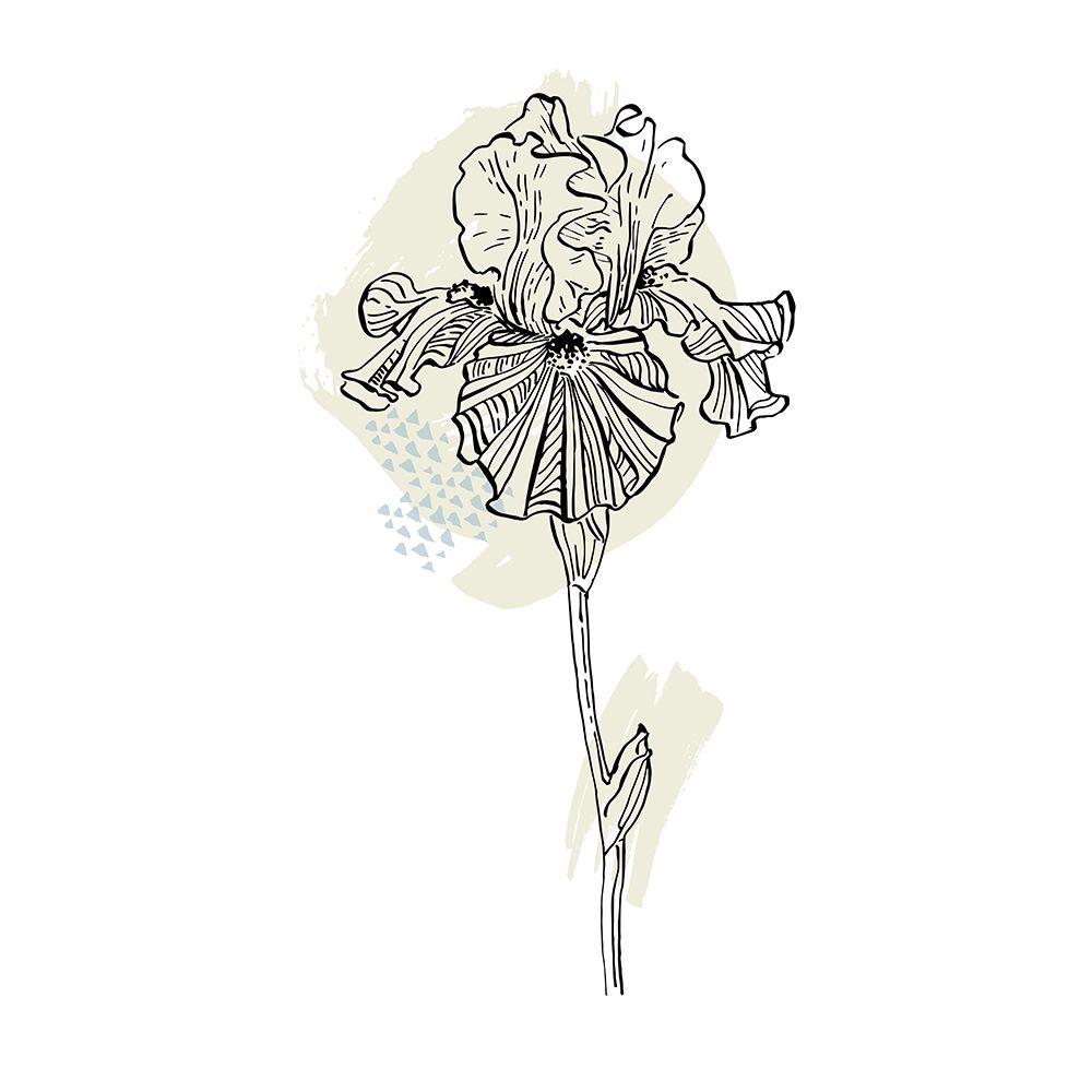 Irises art print by AcantStudio for $57.95 CAD