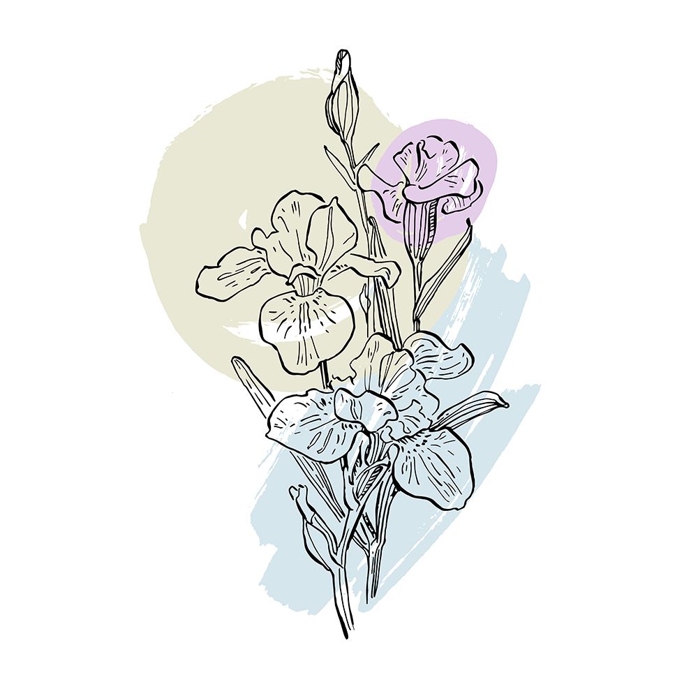 Irises art print by AcantStudio for $57.95 CAD