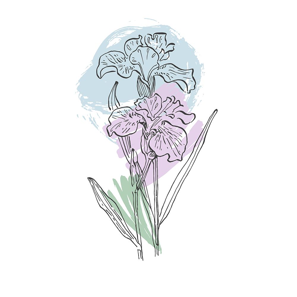 Irises art print by AcantStudio for $57.95 CAD