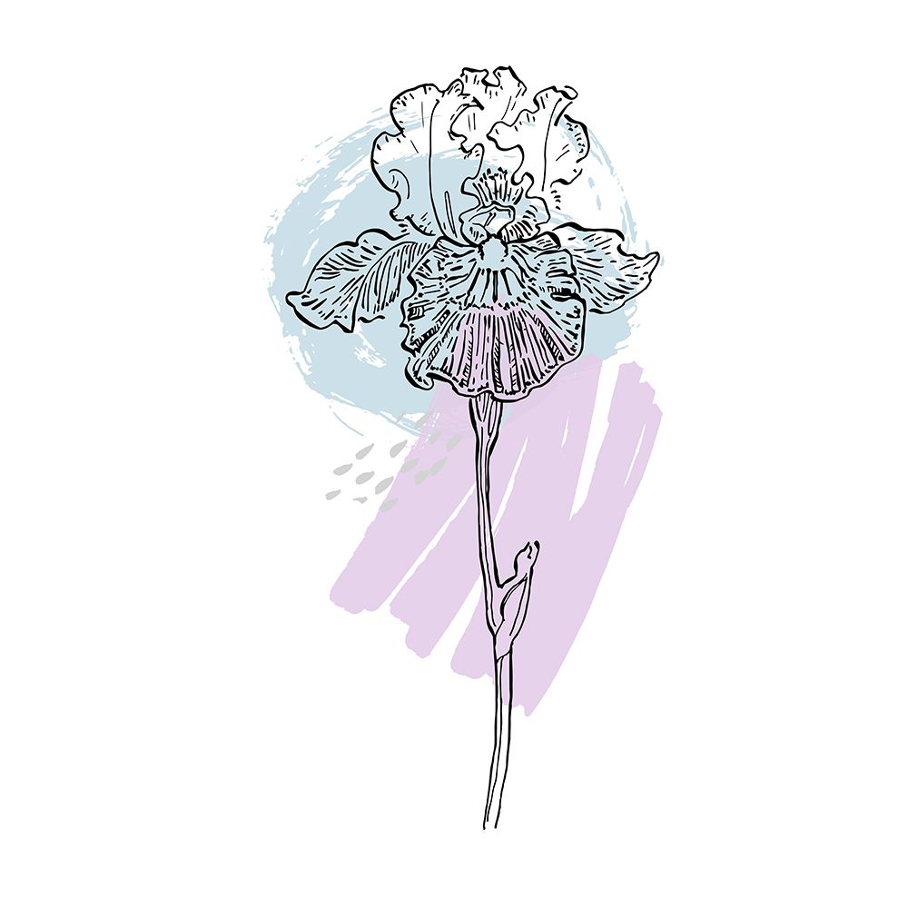 Irises art print by AcantStudio for $57.95 CAD