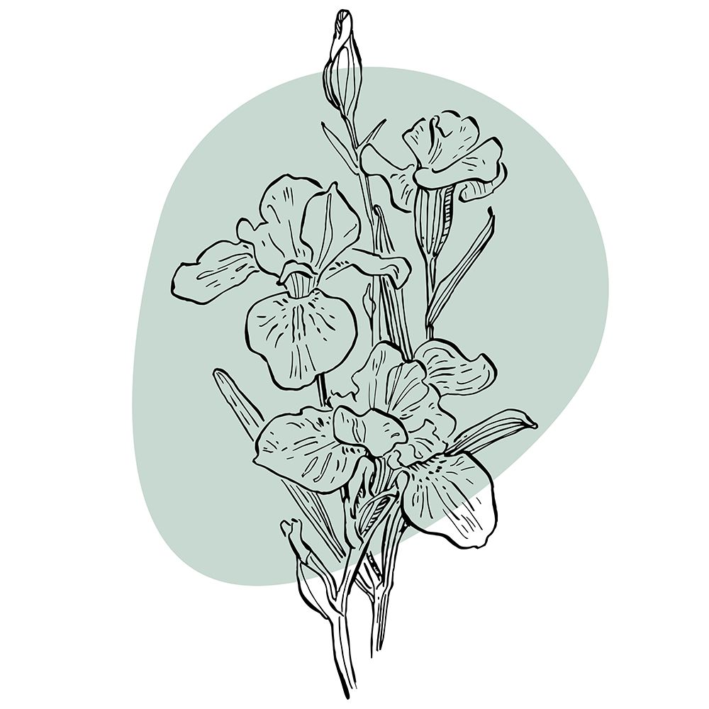 Irises art print by AcantStudio for $57.95 CAD