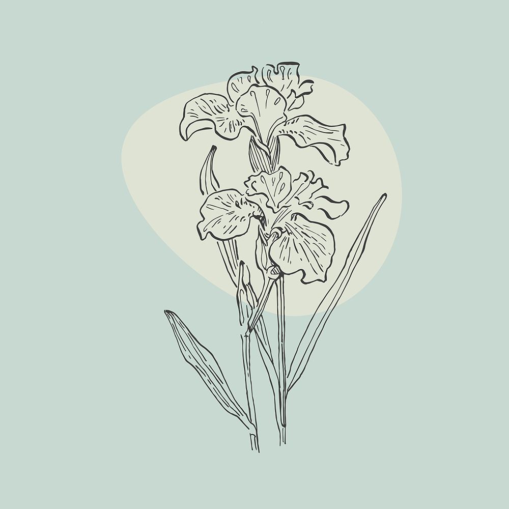 Irises art print by AcantStudio for $57.95 CAD