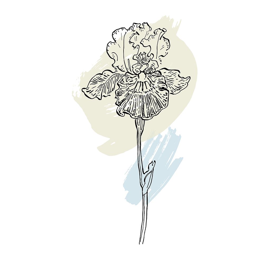 Orchids flowers minimal art art print by AcantStudio for $57.95 CAD