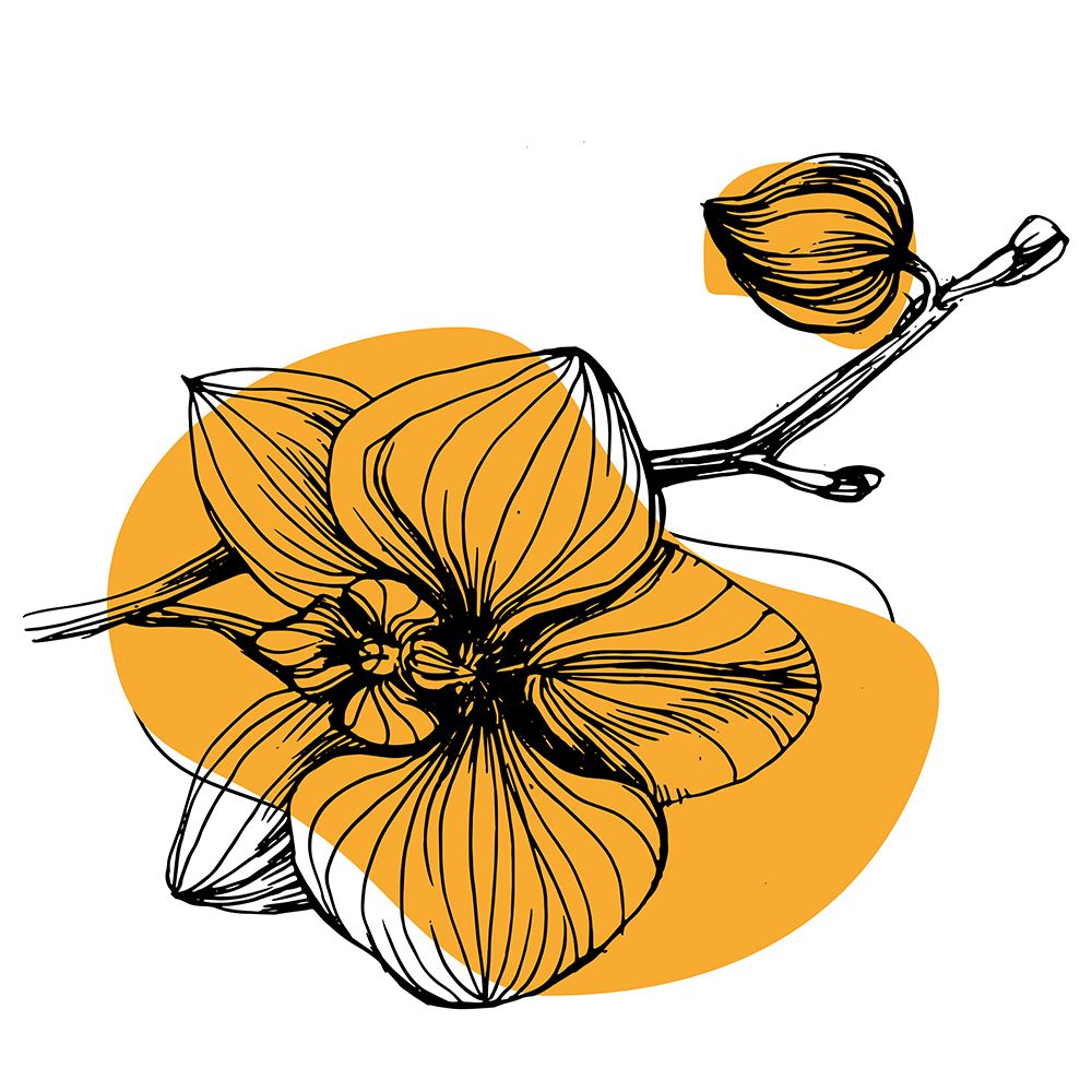 Orchids flowers minimal art art print by AcantStudio for $57.95 CAD