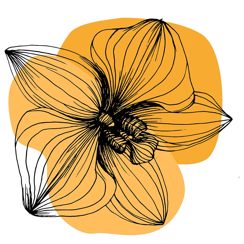 Orchids flowers minimal art art print by AcantStudio for $57.95 CAD