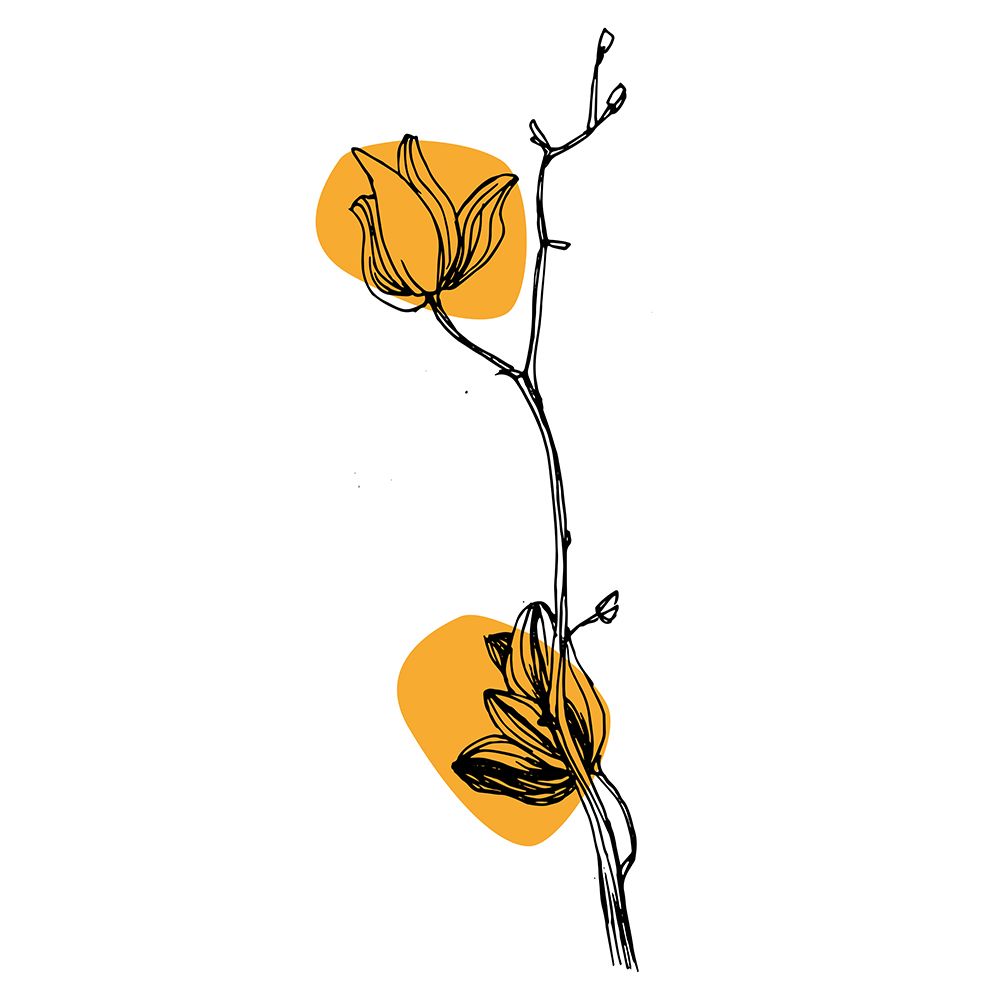 Orchids flowers minimal art art print by AcantStudio for $57.95 CAD