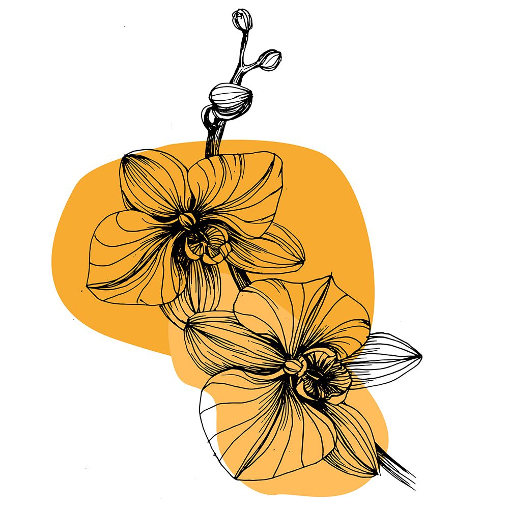 Orchids flowers minimal art art print by AcantStudio for $57.95 CAD