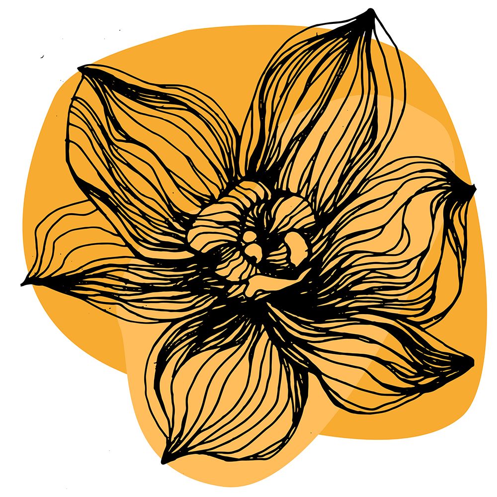 Orchids flowers minimal art art print by AcantStudio for $57.95 CAD