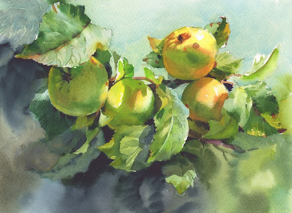 Apples On A Branch art print by Samira Yanushkova for $57.95 CAD