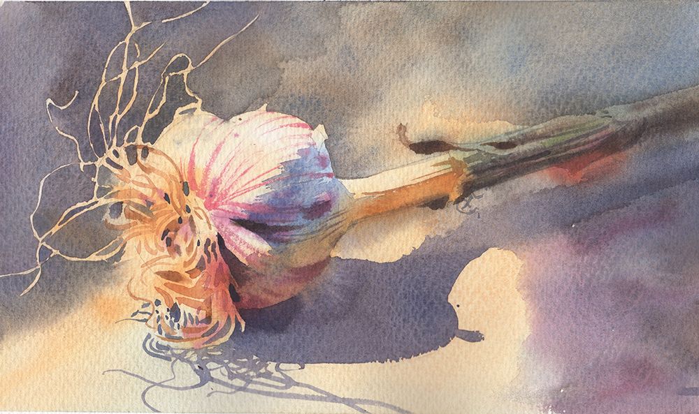 Still Life Garlic art print by Samira Yanushkova for $57.95 CAD