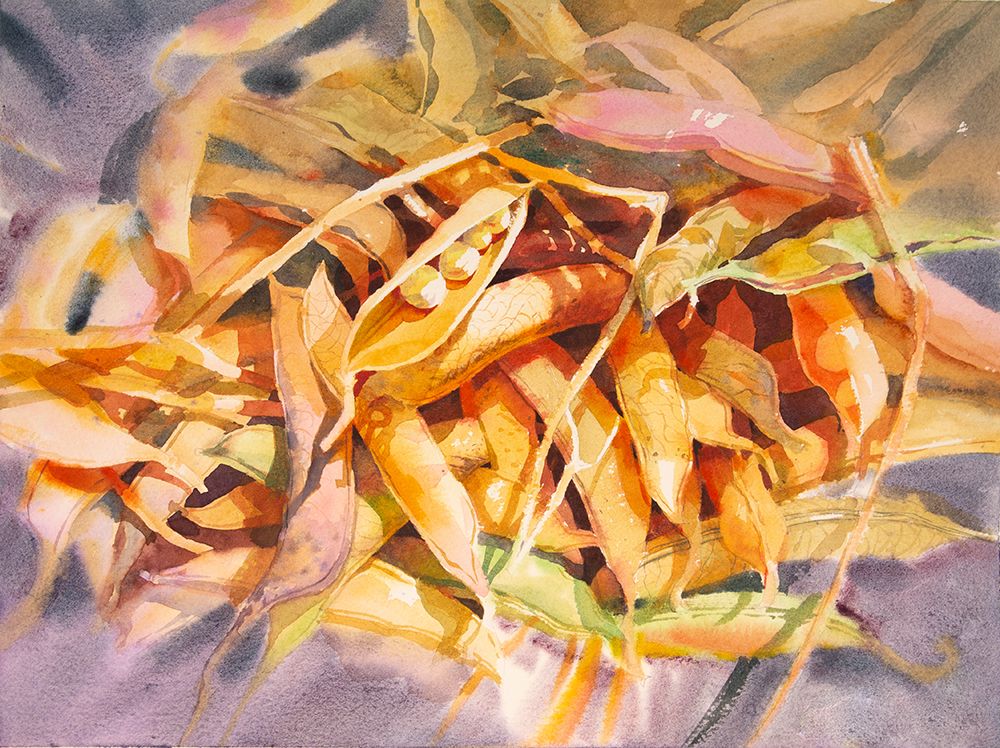 Still Life Beans art print by Samira Yanushkova for $57.95 CAD