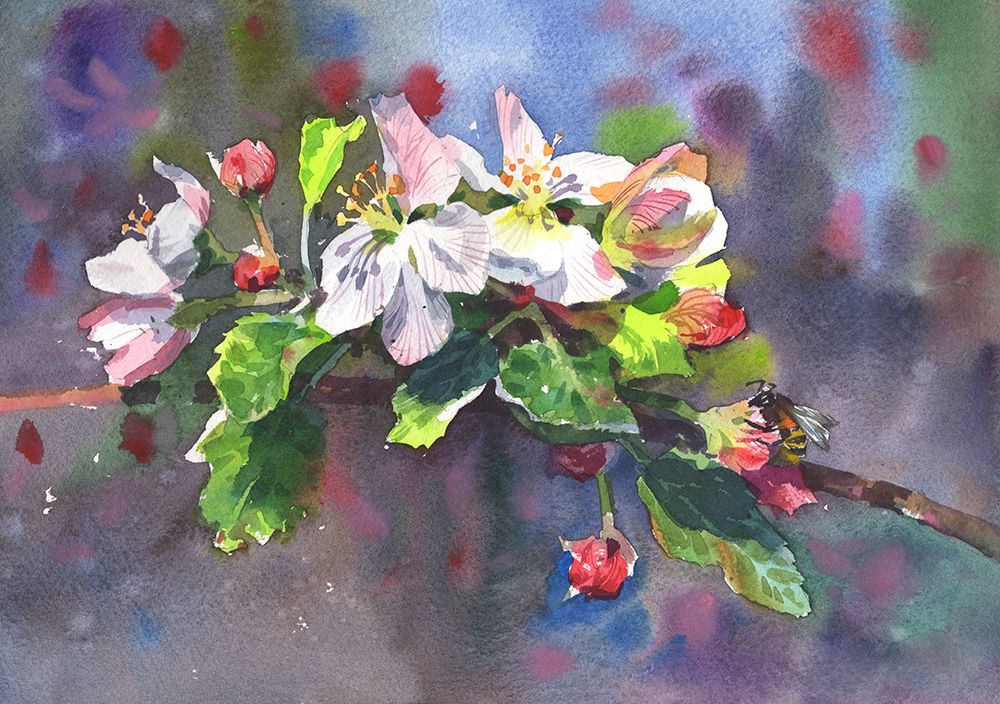 Blooming Cherry art print by Samira Yanushkova for $57.95 CAD