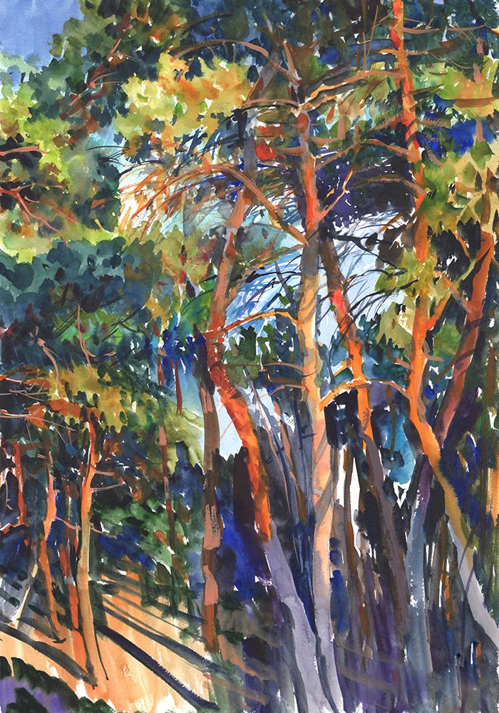 Pine Forest art print by Samira Yanushkova for $57.95 CAD