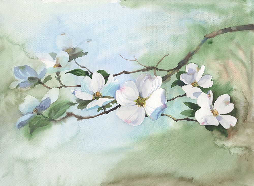 Blooming Cherry art print by Samira Yanushkova for $57.95 CAD