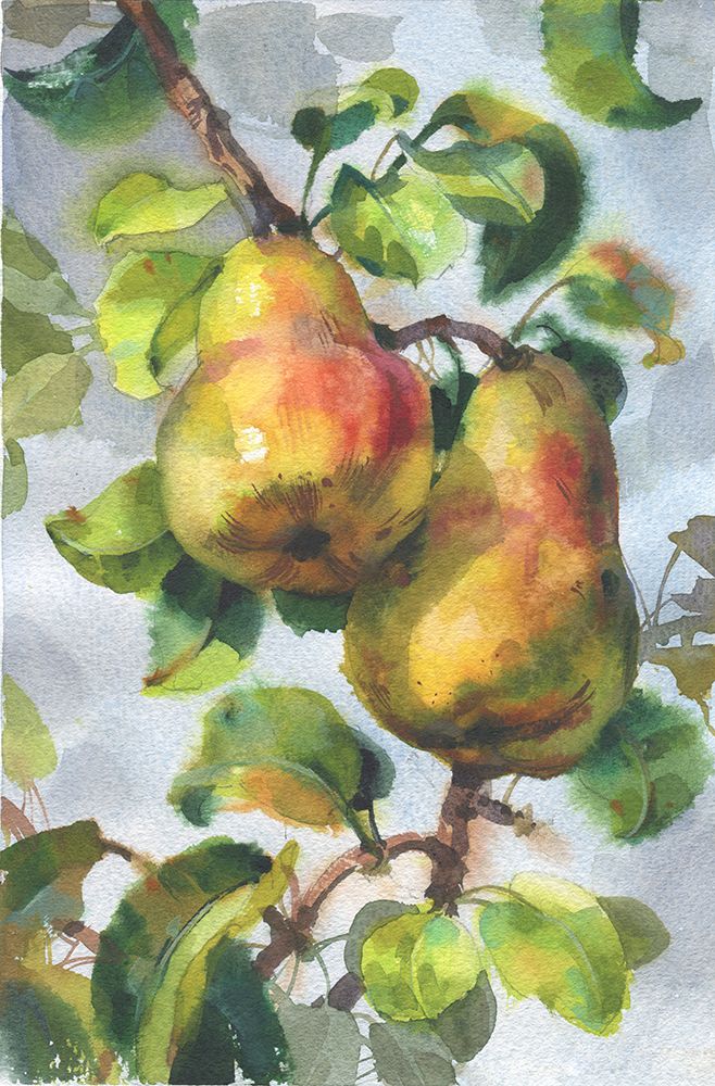 Pears On A Branch art print by Samira Yanushkova for $57.95 CAD