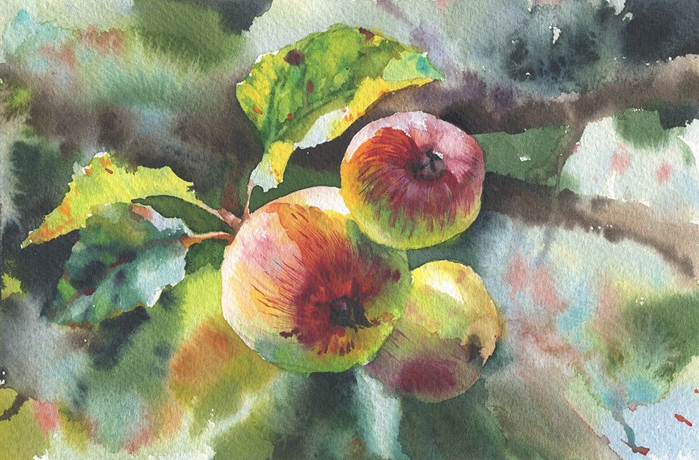 Apples On A Branch art print by Samira Yanushkova for $57.95 CAD
