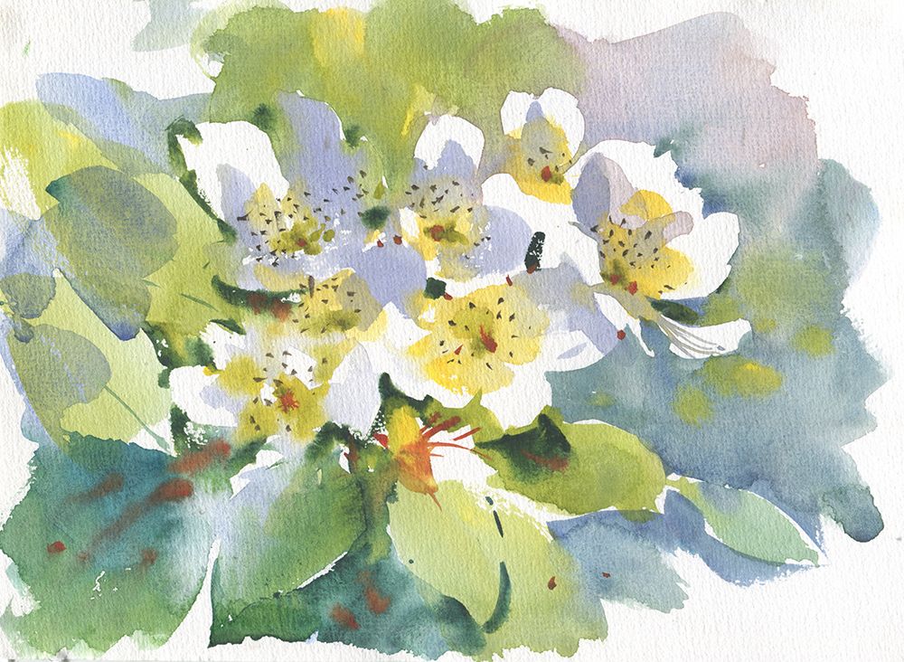 Cherry Branch art print by Samira Yanushkova for $57.95 CAD
