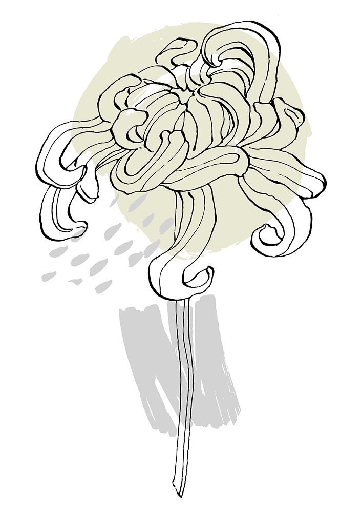 Peonies Flowers Abstract. Plant Art Minimal art print by Samira Yanushkova for $57.95 CAD