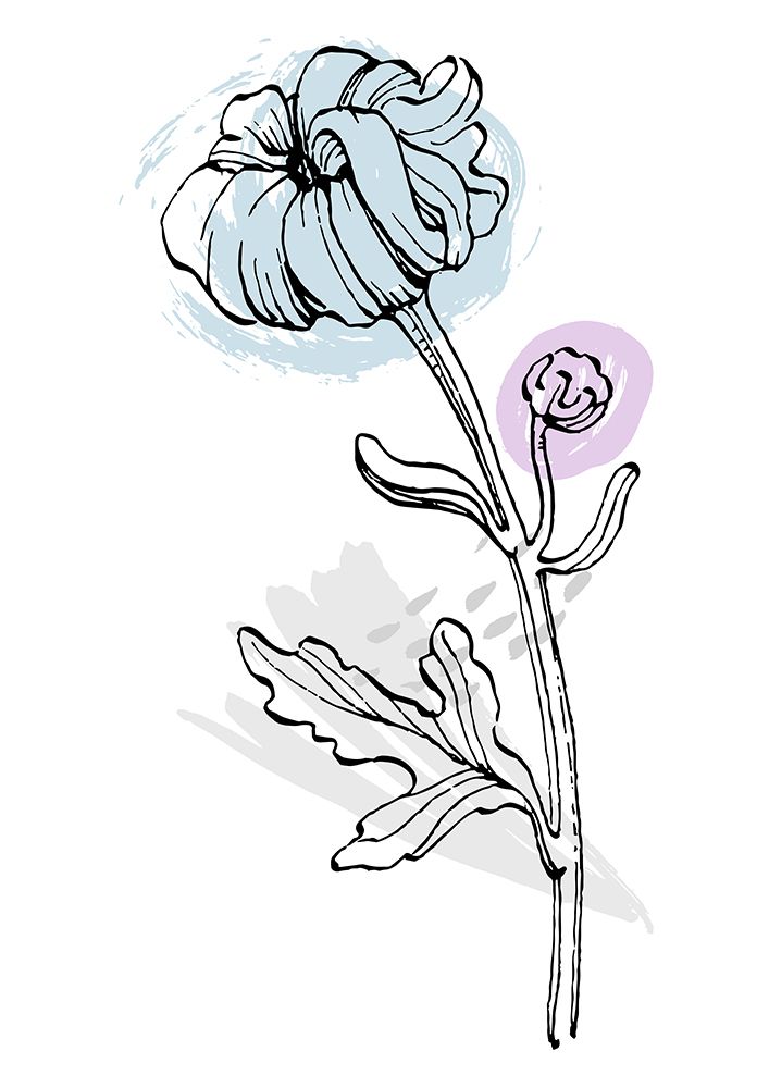 Peonies Flowers Abstract. Plant Art Minimal art print by Samira Yanushkova for $57.95 CAD