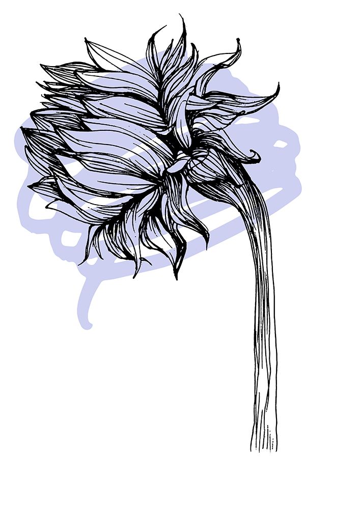 Sunflower art print by Samira Yanushkova for $57.95 CAD