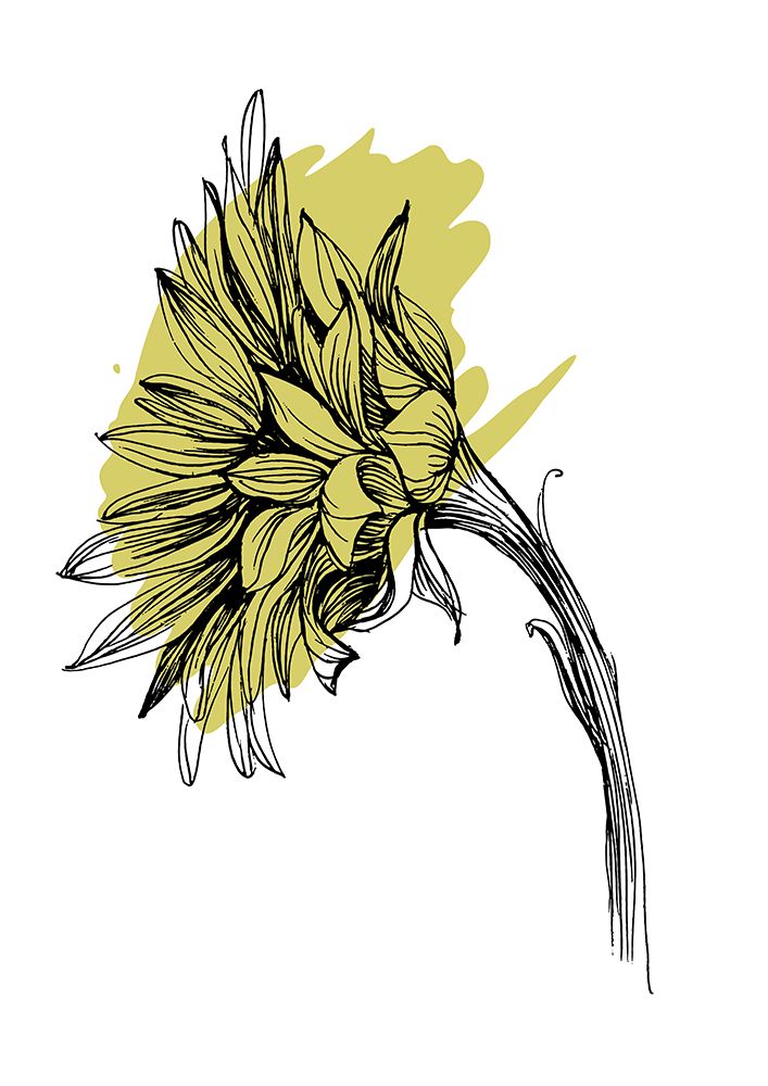 Sunflower art print by Samira Yanushkova for $57.95 CAD