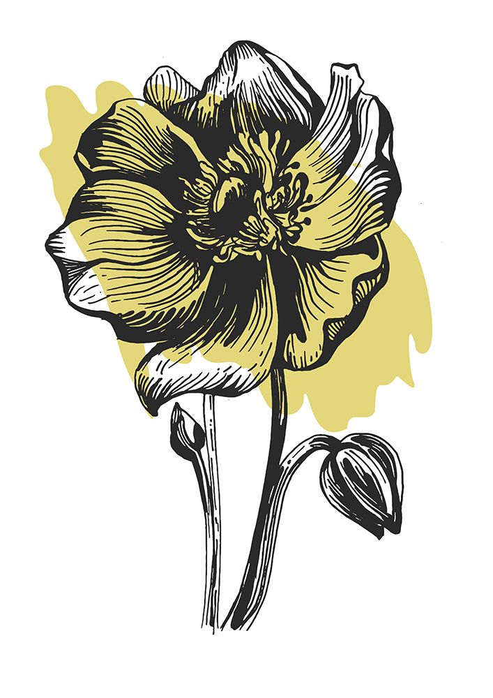 Sunflower art print by Samira Yanushkova for $57.95 CAD