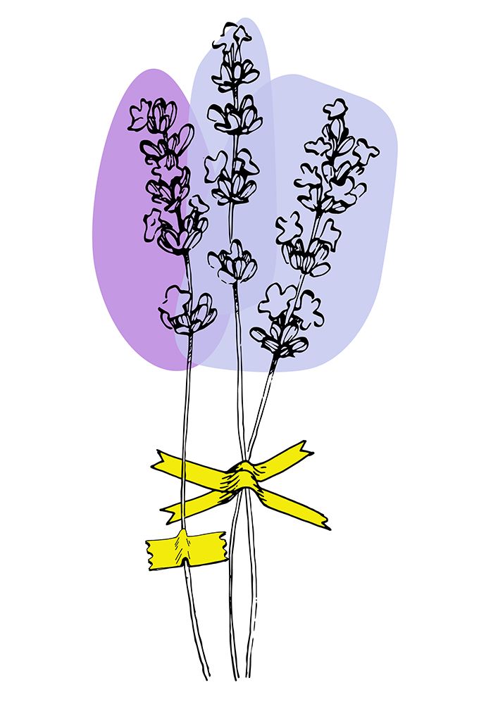 Lavender Provence art print by Samira Yanushkova for $57.95 CAD