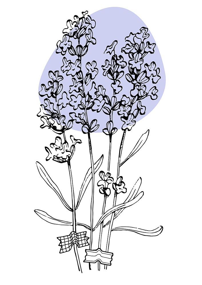 Lavender Provence art print by Samira Yanushkova for $57.95 CAD