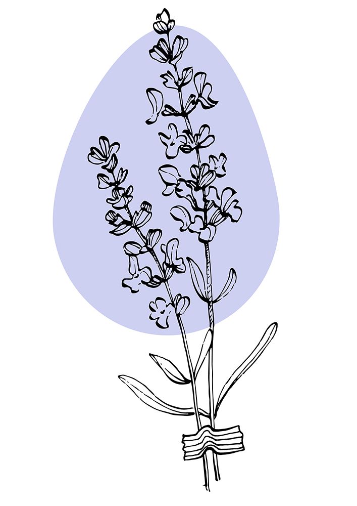 Lavender Provence art print by Samira Yanushkova for $57.95 CAD