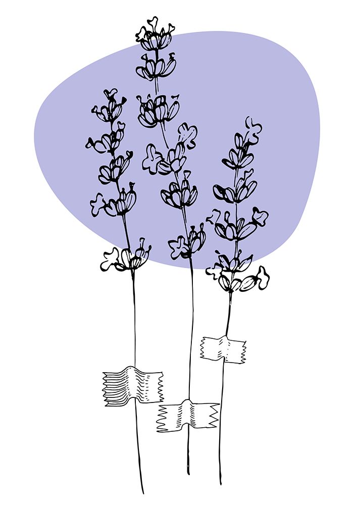 Lavender Provence art print by Samira Yanushkova for $57.95 CAD