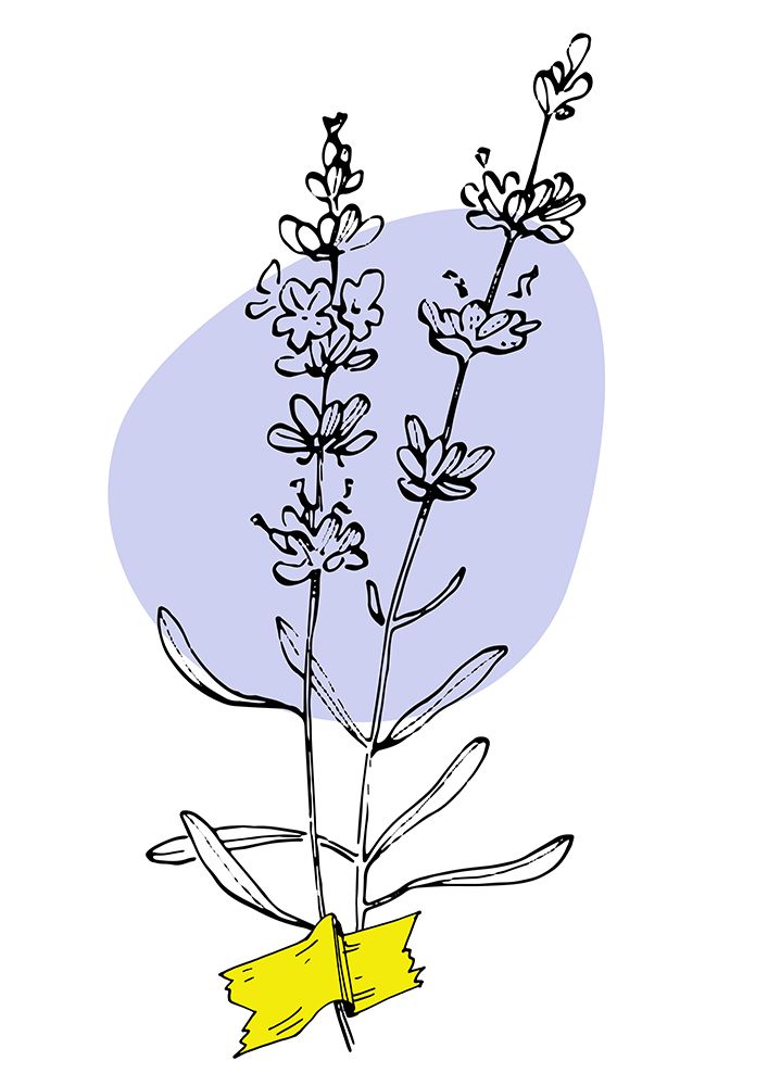 Lavender Provence art print by Samira Yanushkova for $57.95 CAD