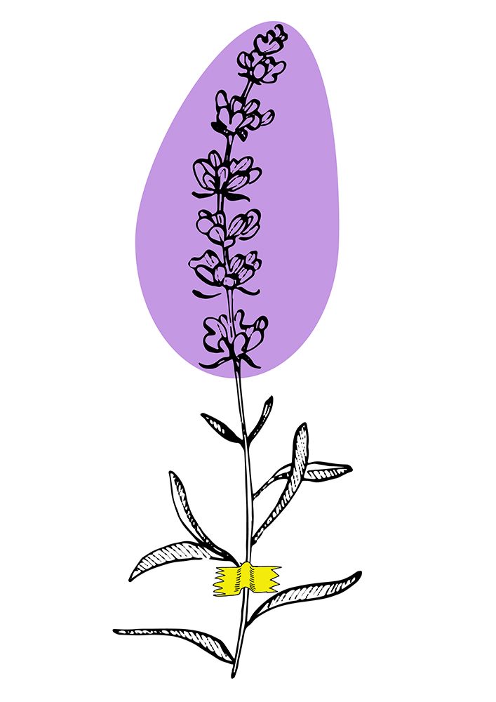 Lavender Provence art print by Samira Yanushkova for $57.95 CAD