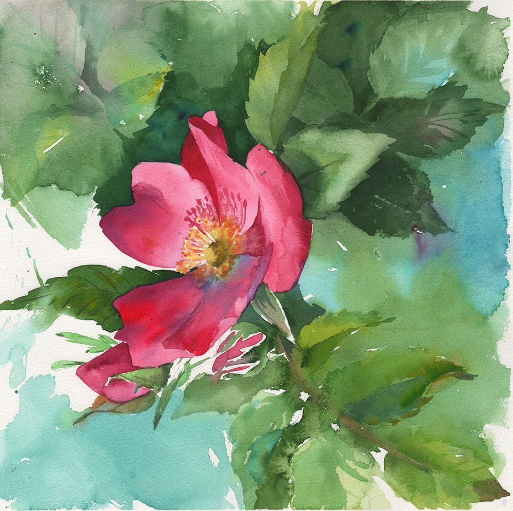 Pink wild flower art print by Samira Yanushkova for $57.95 CAD