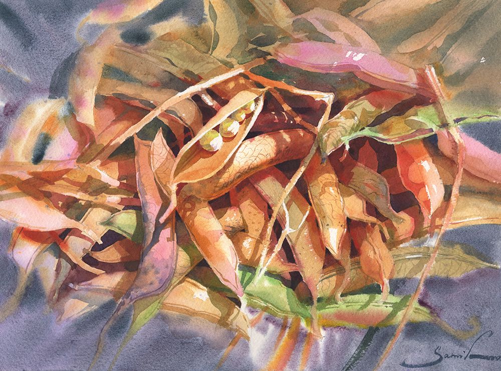 Bean Pods art print by Samira Yanushkova for $57.95 CAD
