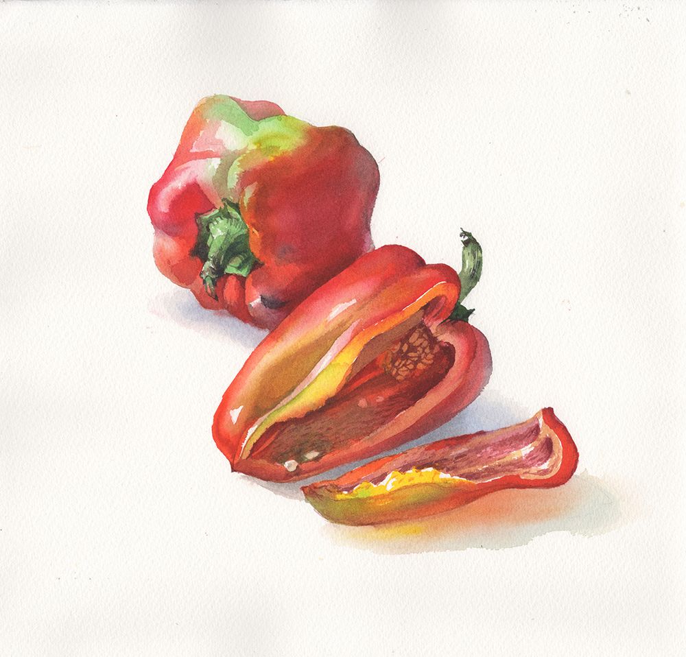 Still Life Pepper art print by Samira Yanushkova for $57.95 CAD