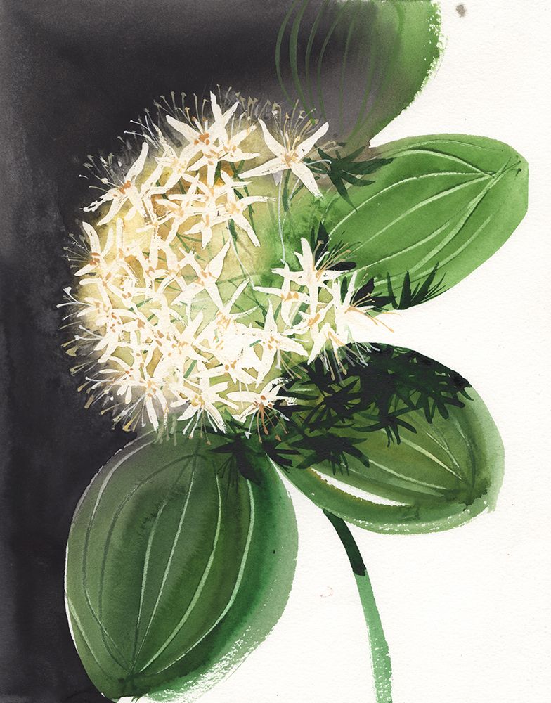 Cactus art print by Samira Yanushkova for $57.95 CAD