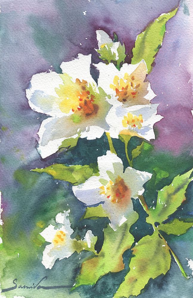 Flowers Jasmine art print by Samira Yanushkova for $57.95 CAD