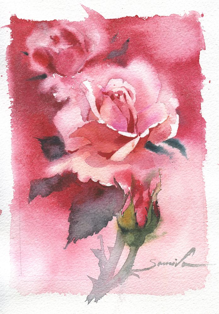 Rose watercolor flowers art print by Samira Yanushkova for $57.95 CAD