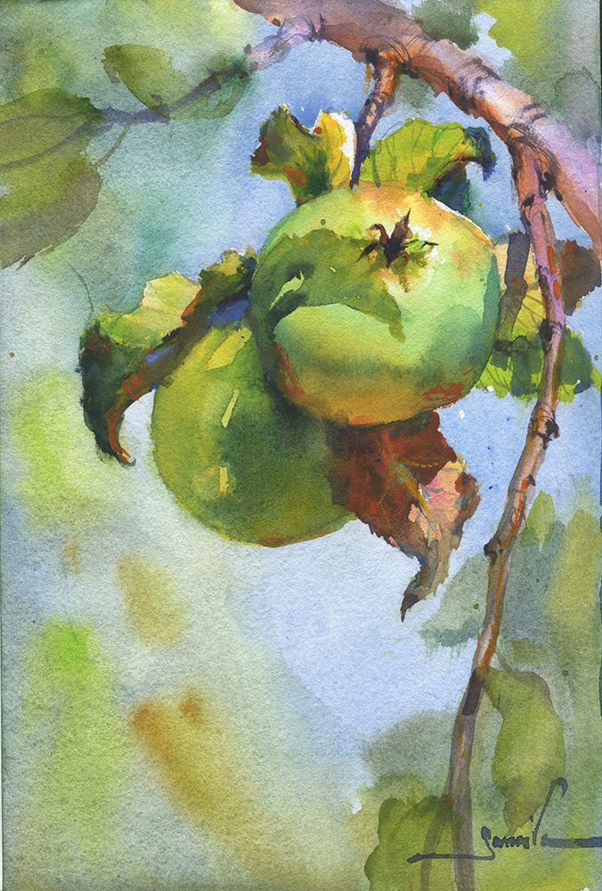 Apples on a branch art print by Samira Yanushkova for $57.95 CAD