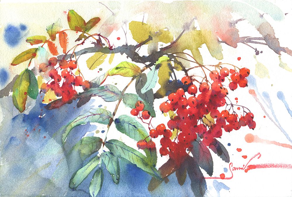 Viburnum / Guelder rose art print by Samira Yanushkova for $57.95 CAD