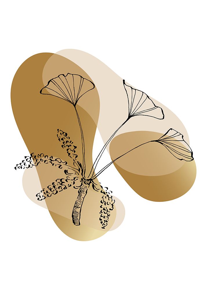 Ginkgo biloba art print by AcantStudio for $57.95 CAD