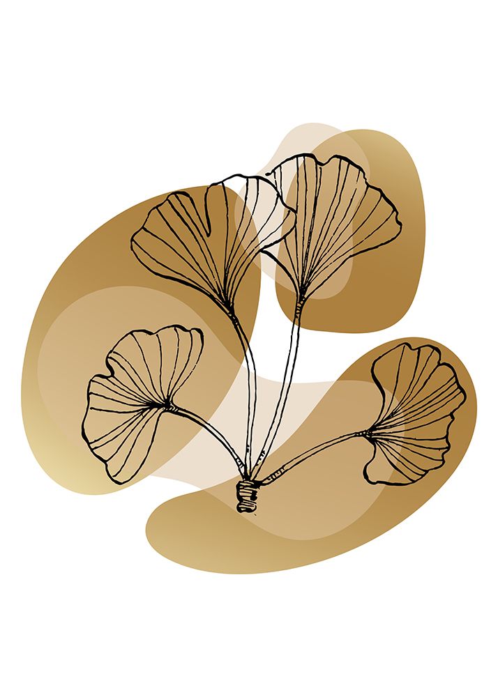 Ginkgo Sketch art print by AcantStudio for $57.95 CAD