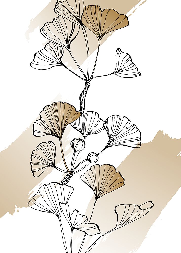 Ginkgo Botanical art print by AcantStudio for $57.95 CAD