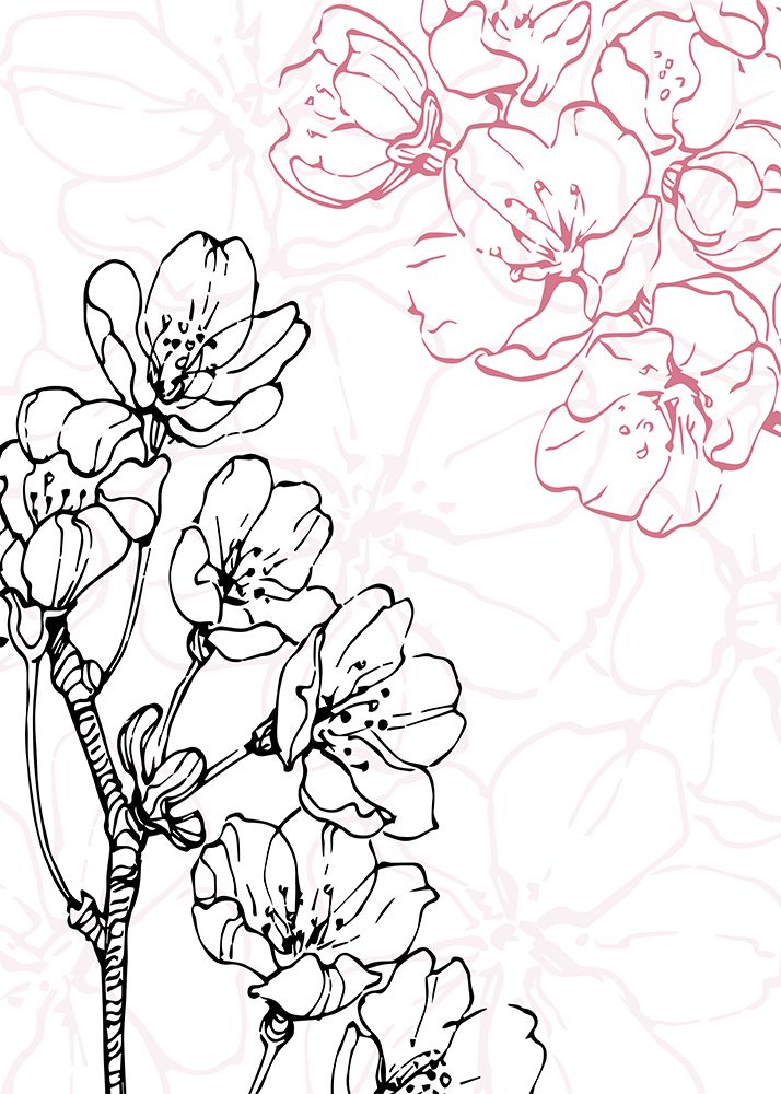 cherry blossom art print by AcantStudio for $57.95 CAD