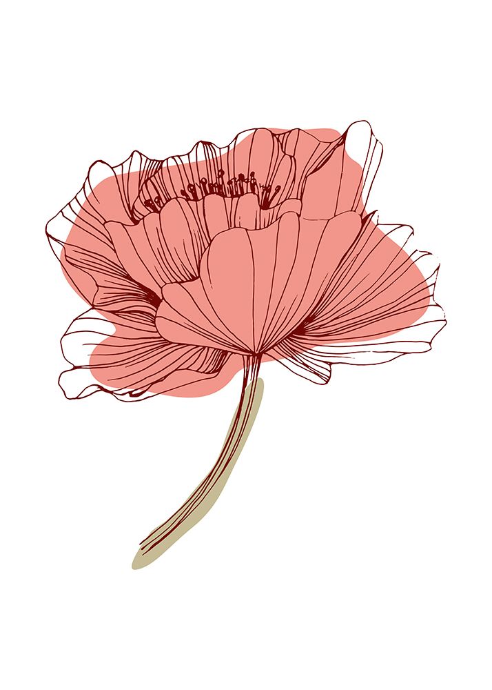 Poppy 6 art print by AcantStudio for $57.95 CAD