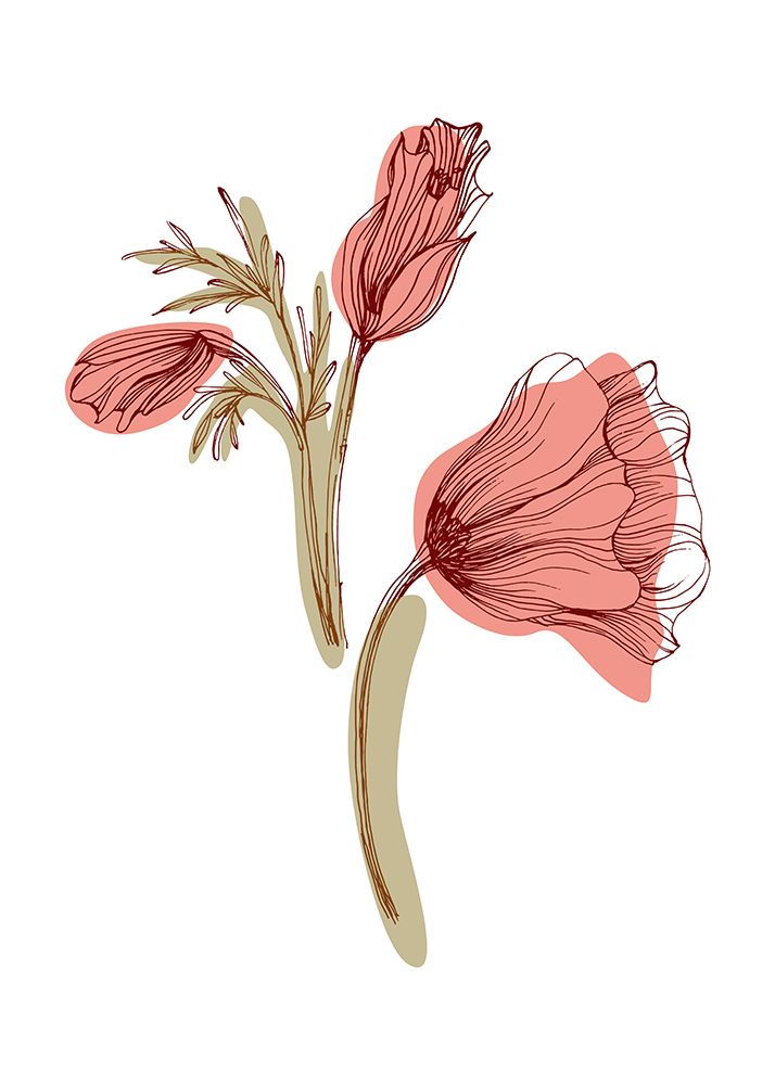 Poppy 8 art print by AcantStudio for $57.95 CAD