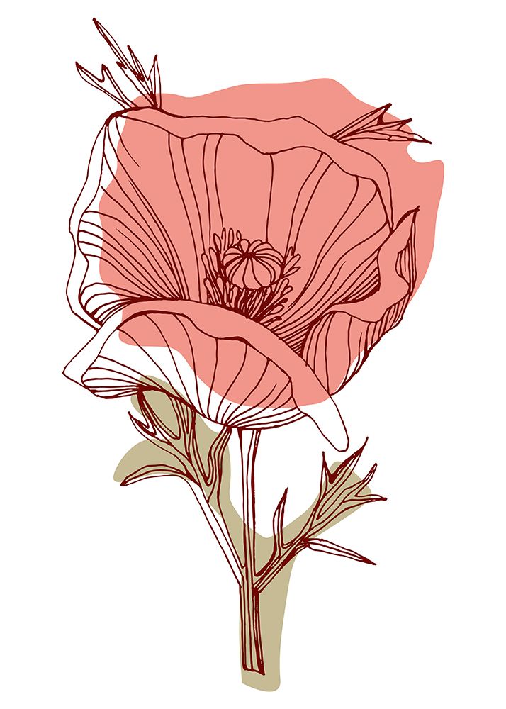 Poppy 9 art print by AcantStudio for $57.95 CAD