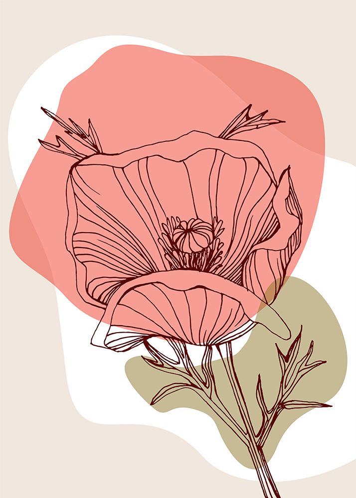 Poppy blossom art print by AcantStudio for $57.95 CAD