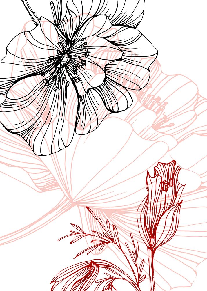 Poppy modern art print by AcantStudio for $57.95 CAD