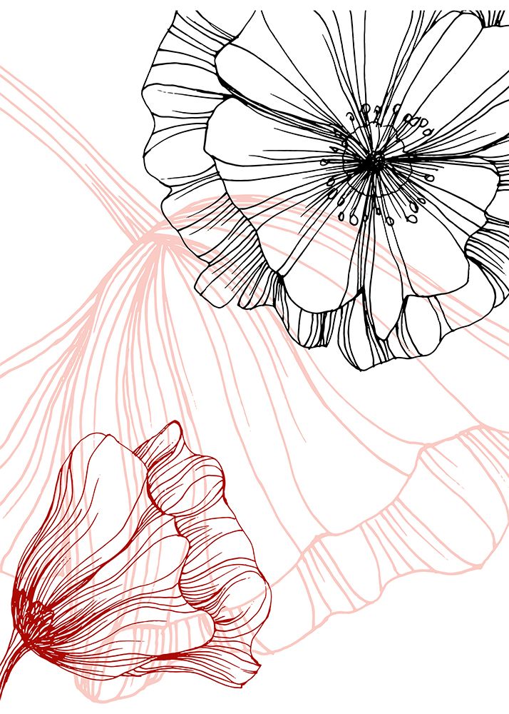 Poppy art art print by AcantStudio for $57.95 CAD